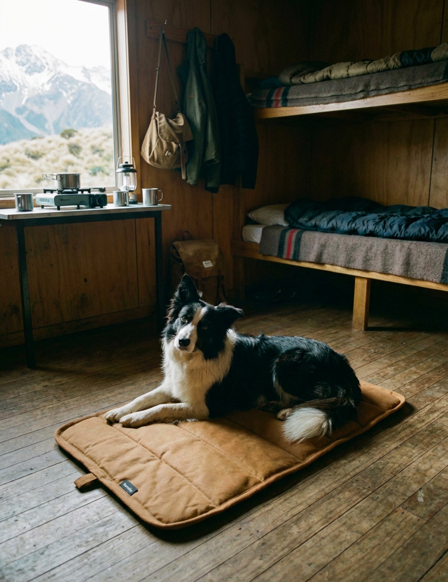 Water-Resistant Canvas Good Dog Mat – Tussock Brown