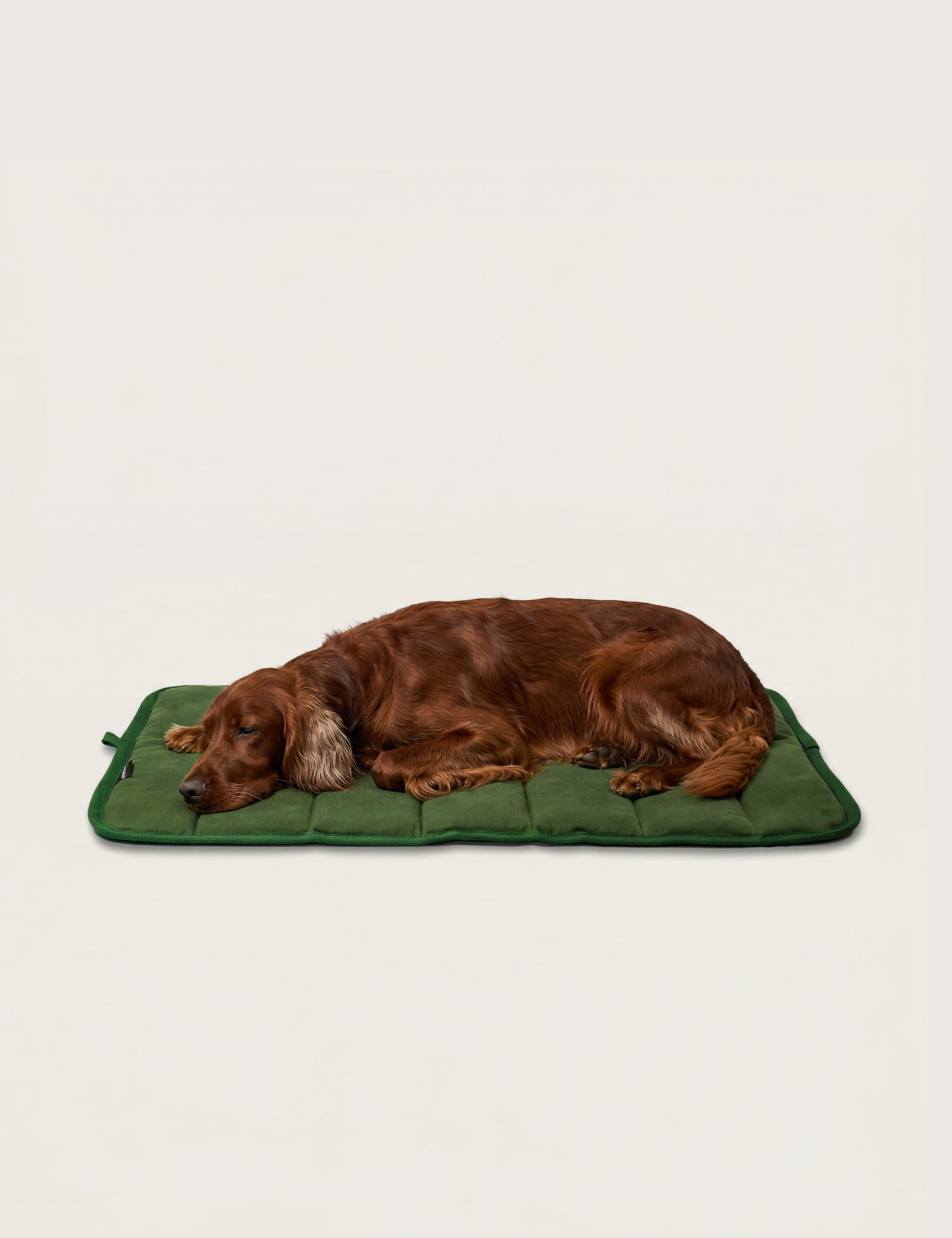Water-Resistant Canvas Good Dog Mat – Karamea Green