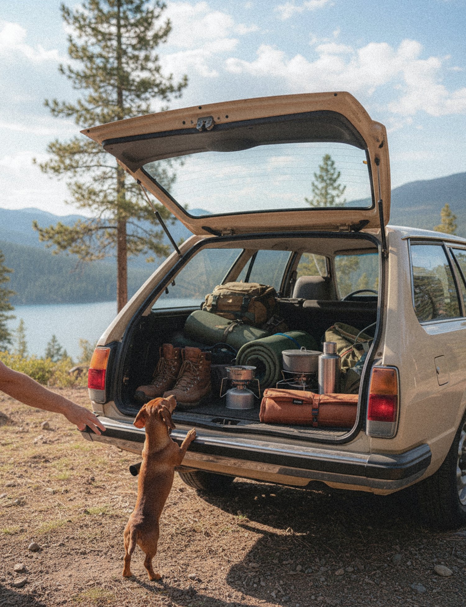 Water-Resistant Canvas Good Dog Mat – Bracken Orange