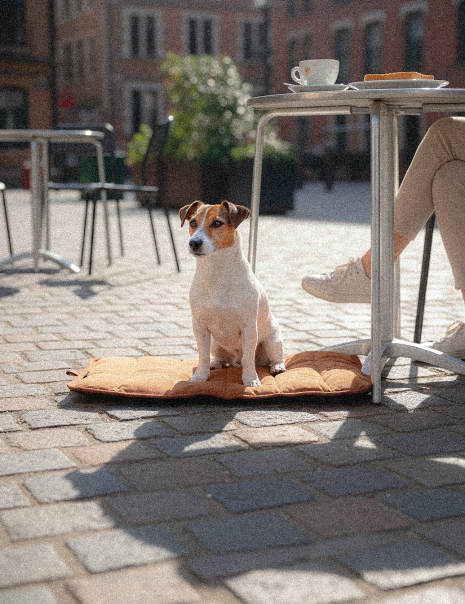 Water-Resistant Canvas Good Dog Mat – Bracken Orange