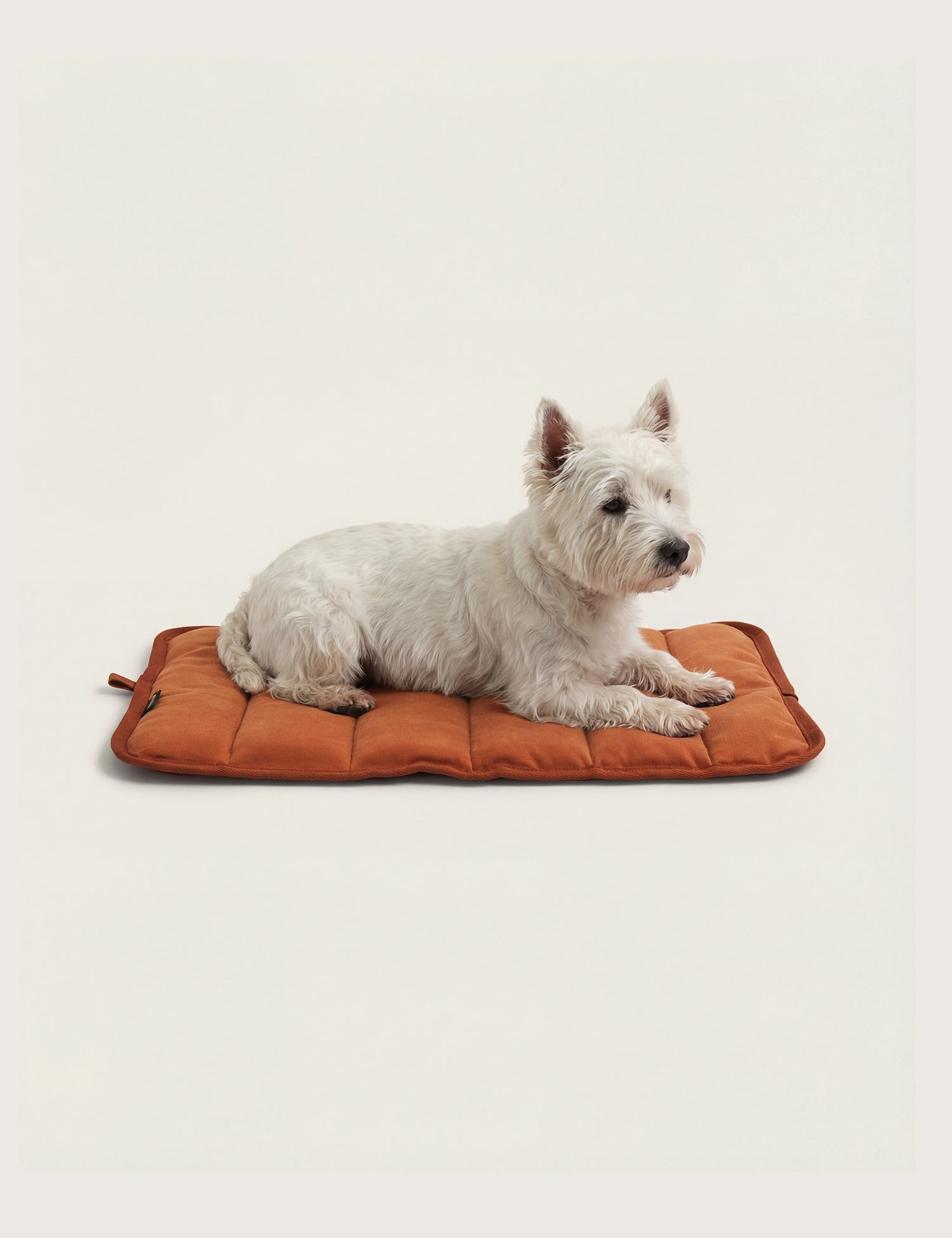 Water-Resistant Canvas Good Dog Mat – Bracken Orange