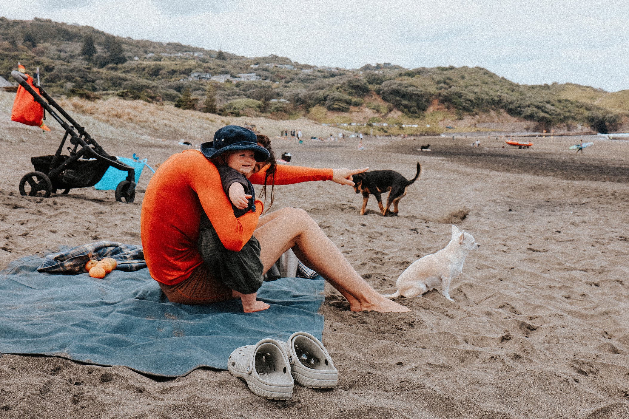 Person sitting on a beach with two dogs, surrounded by nature