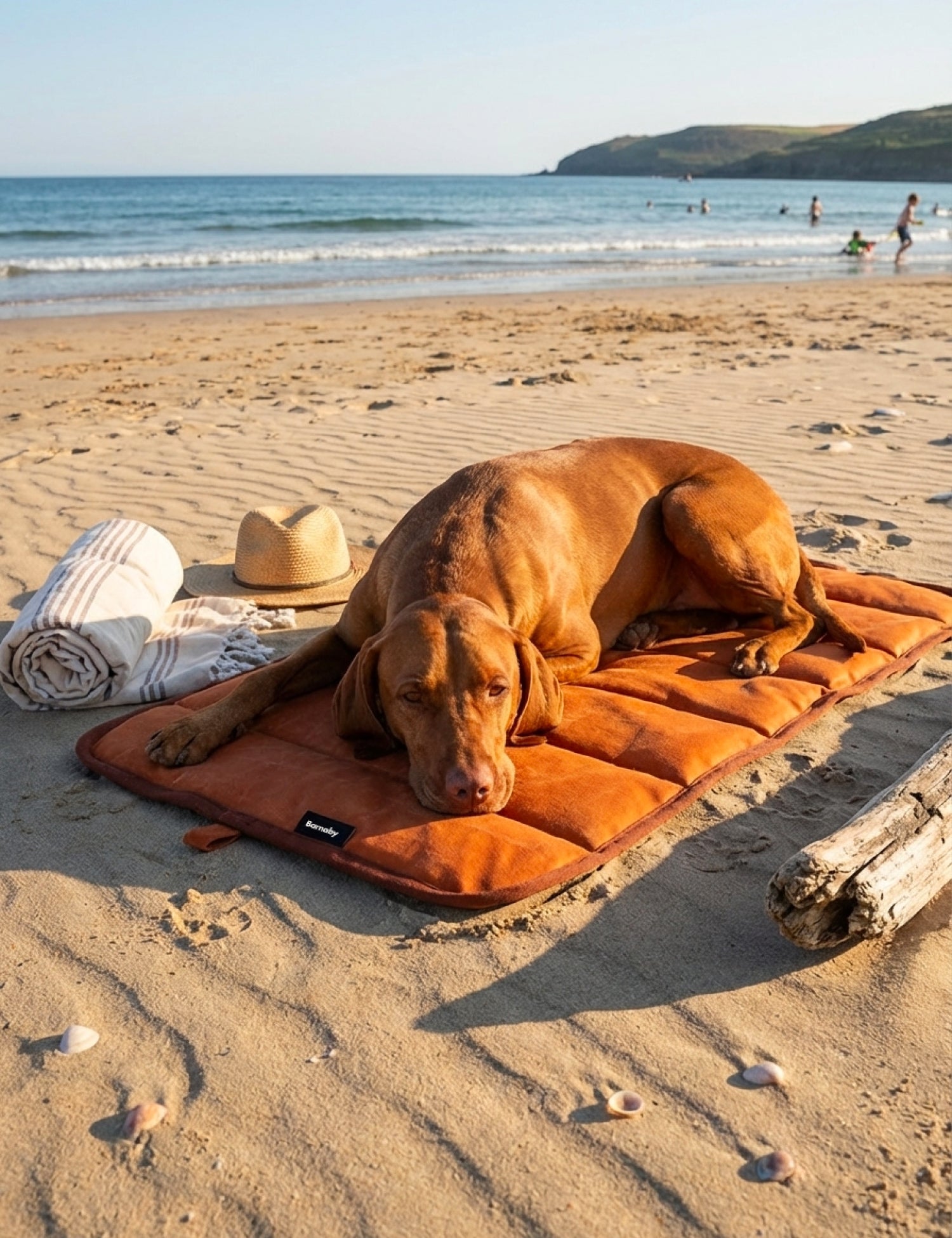 Water - Resistant Canvas Good Dog Mat – Bracken Orange - Barnaby Outdoor