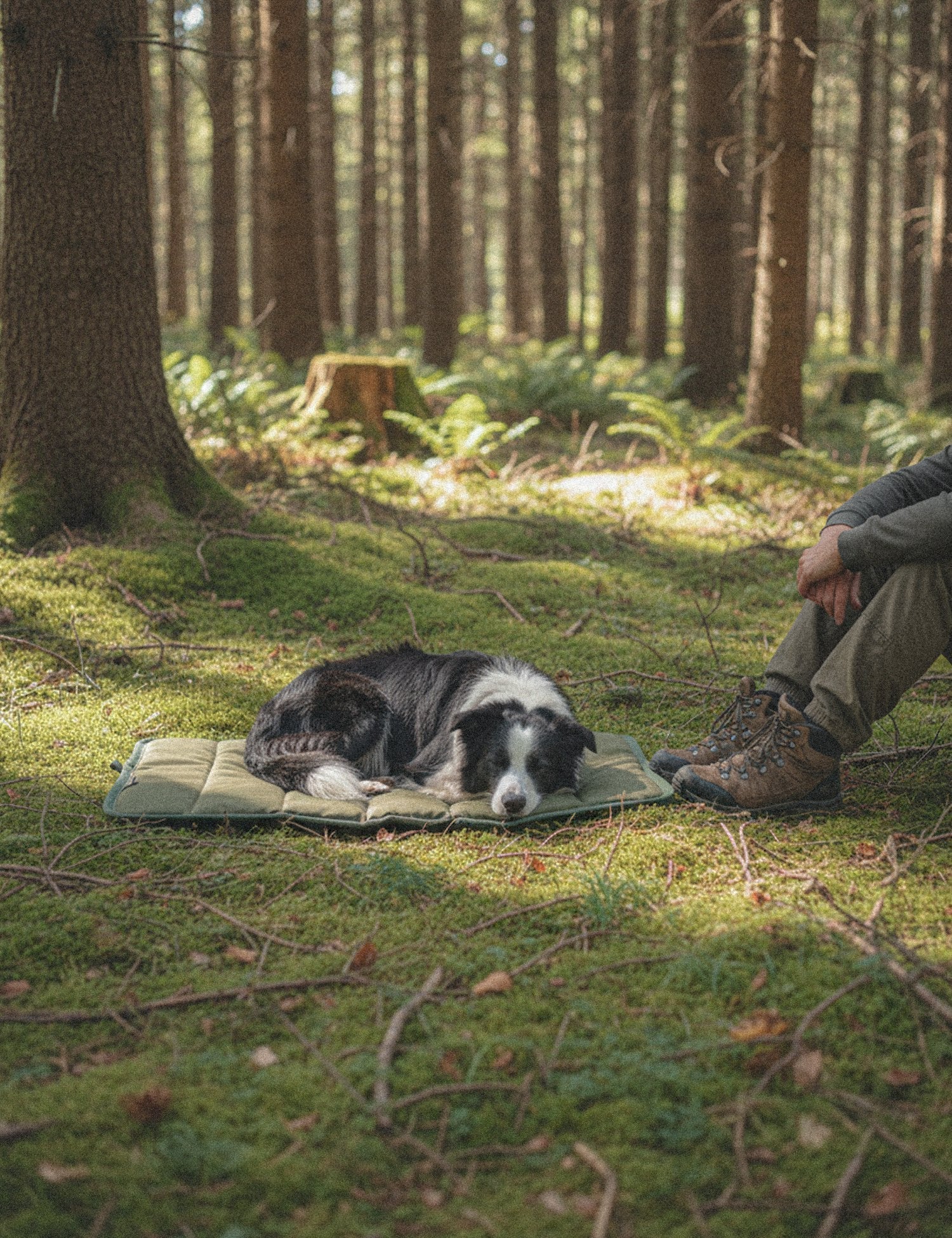 Water-Resistant Canvas Good Dog Mat – Kaitoke Green - Barnaby Outdoor -