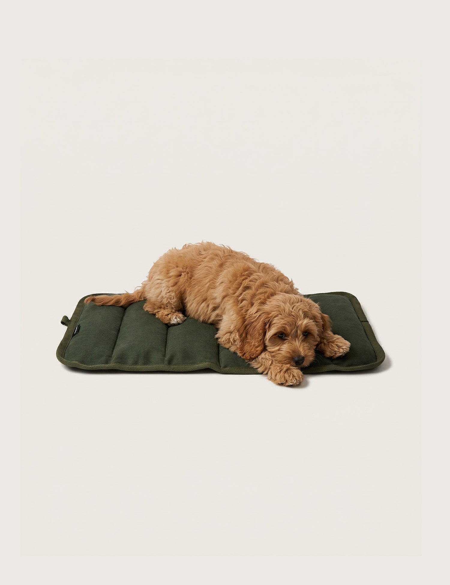 Water-Resistant Canvas Good Dog Mat – Kaitoke Green - Barnaby Outdoor -