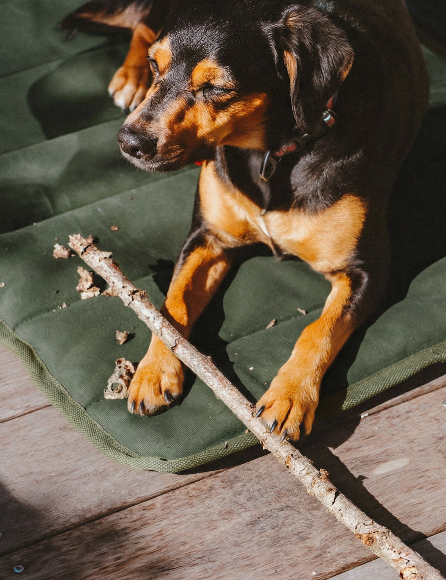 Water-Resistant Canvas Good Dog Mat – Kaitoke Green - Barnaby Outdoor -