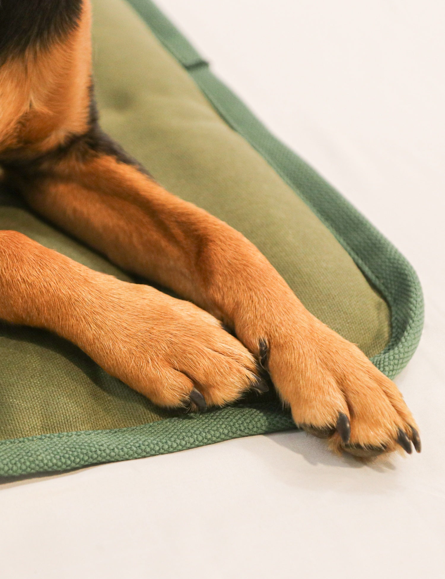Water-Resistant Canvas Good Dog Mat – Waitākere Green