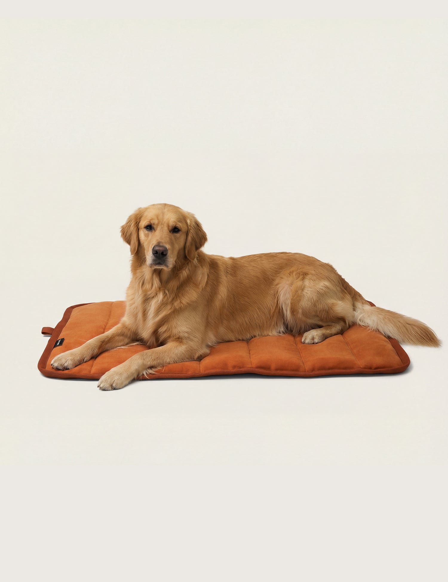 Water-Resistant Canvas Good Dog Mat – Bracken Orange