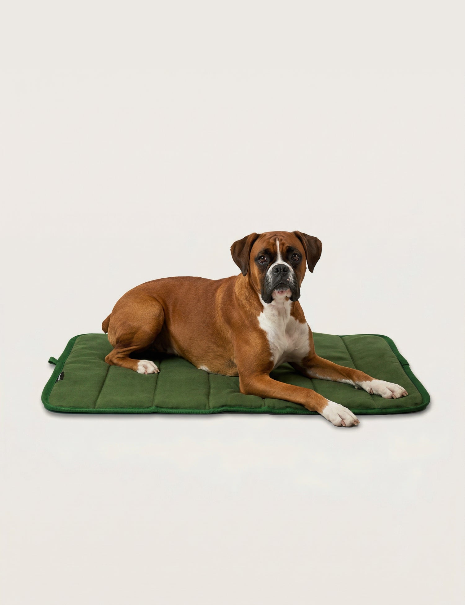 Water-Resistant Canvas Good Dog Mat – Karamea Green