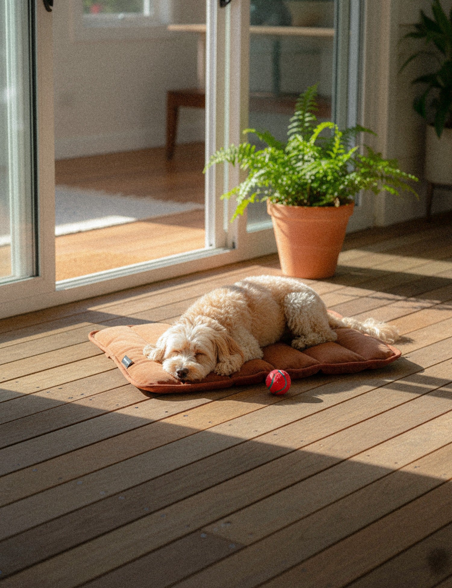 Water-Resistant Canvas Good Dog Mat – Bracken Orange