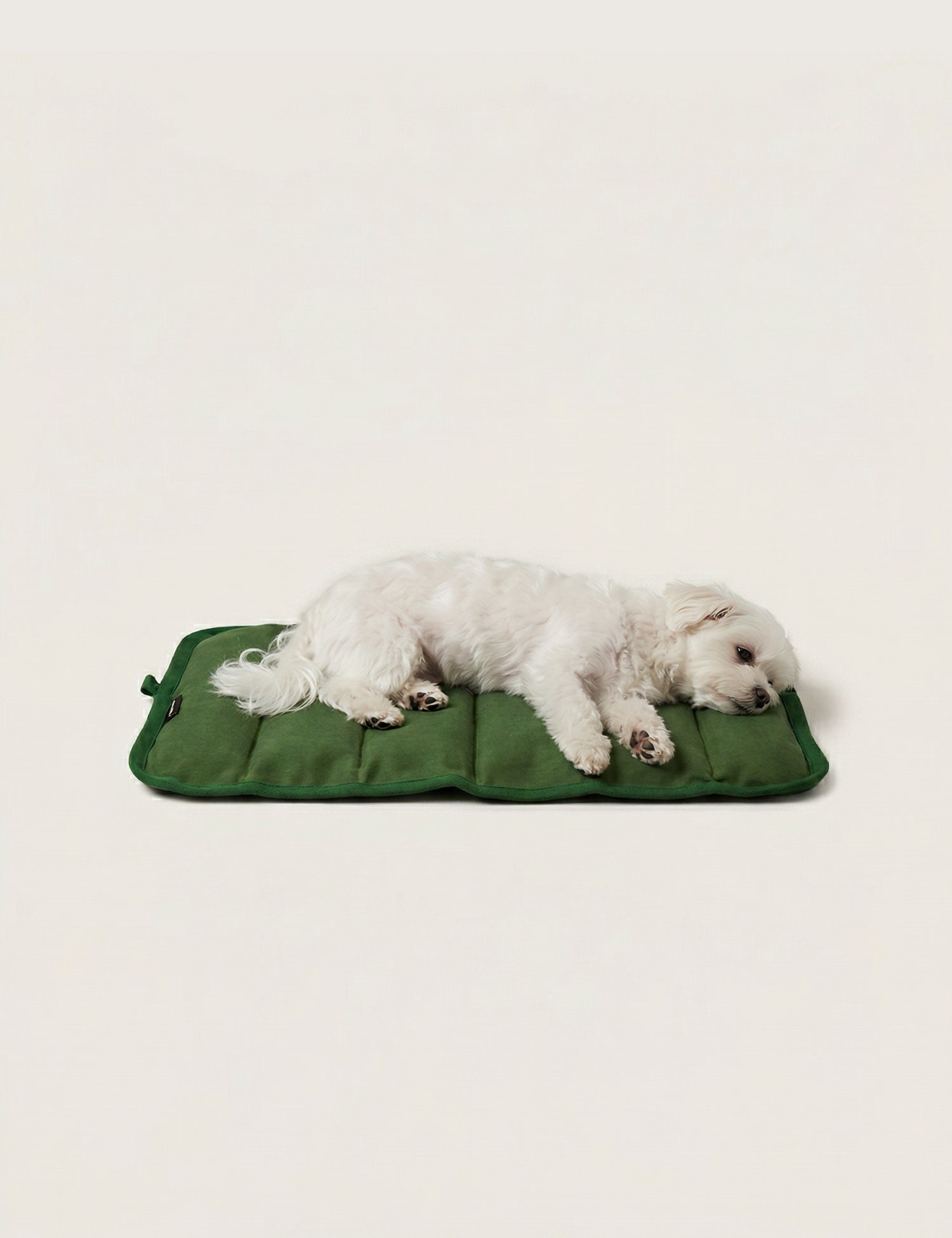 Water-Resistant Canvas Good Dog Mat – Karamea Green