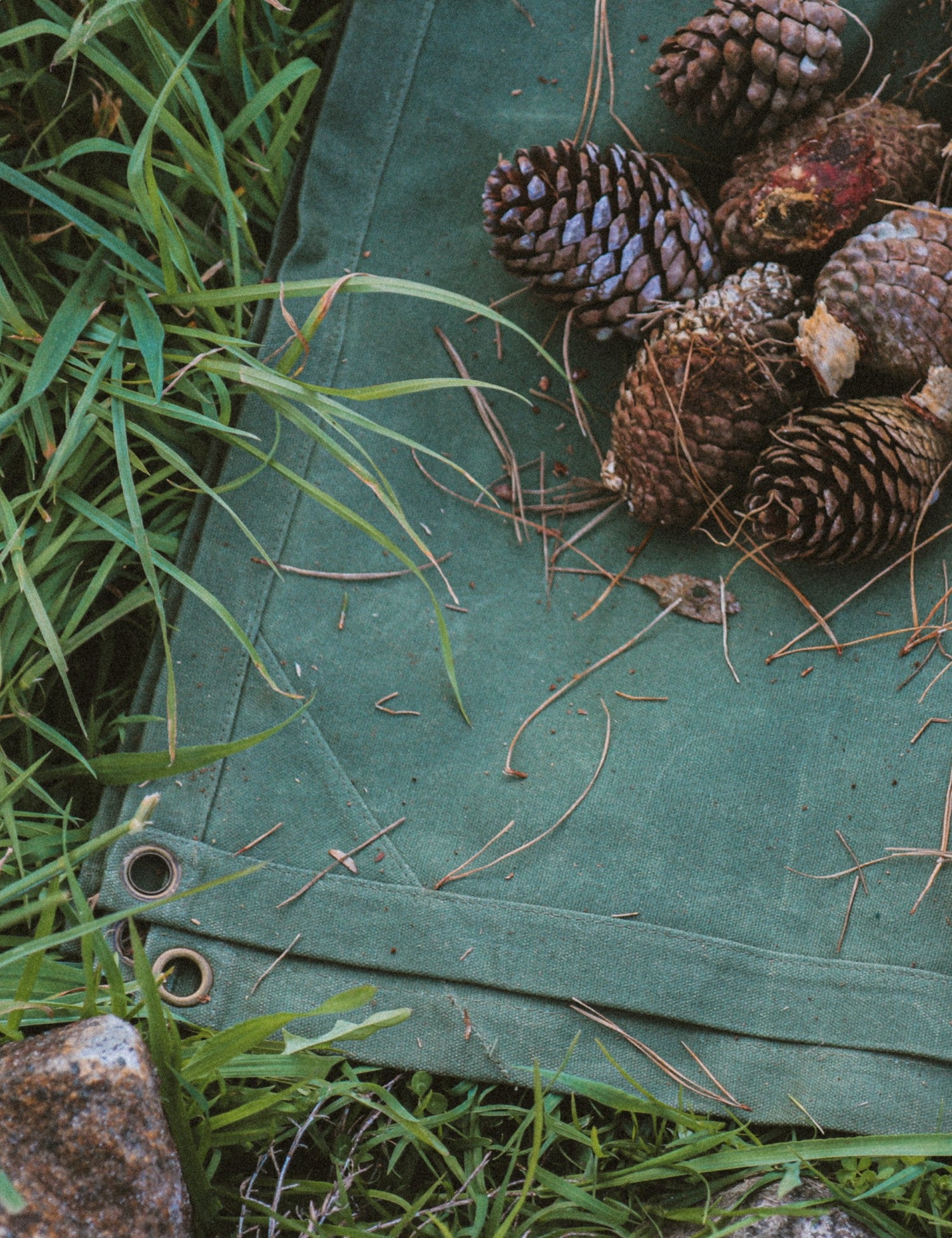 Waxed Canvas Picnic Mat - Waitākere Green