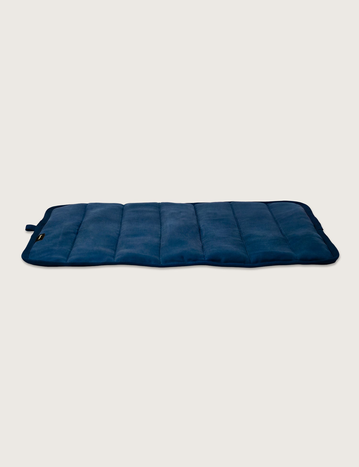 Water-Resistant Canvas Good Dog Mat – Wakatipu Blue