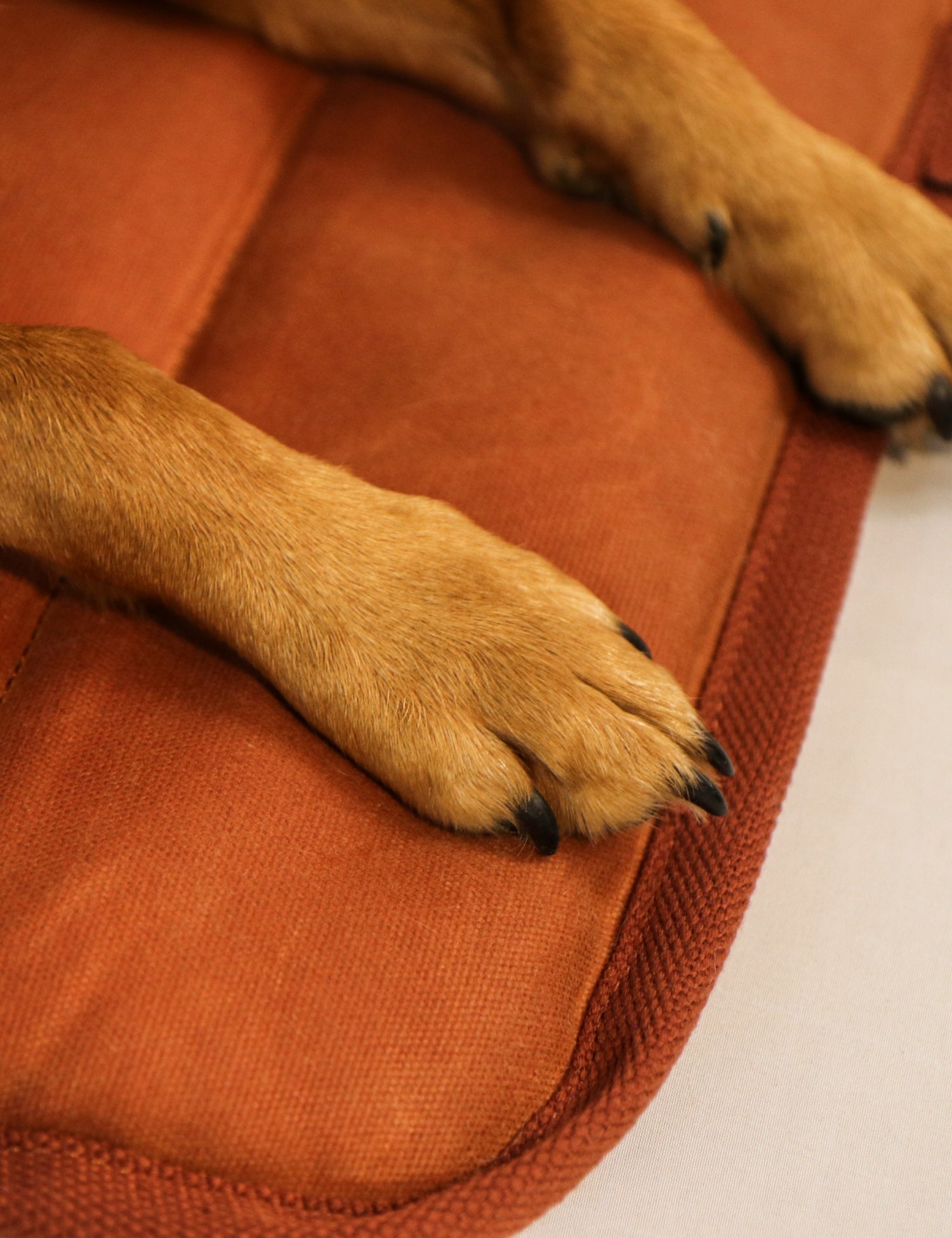 Water - Resistant Canvas Good Dog Mat – Bracken Orange - Barnaby Outdoor