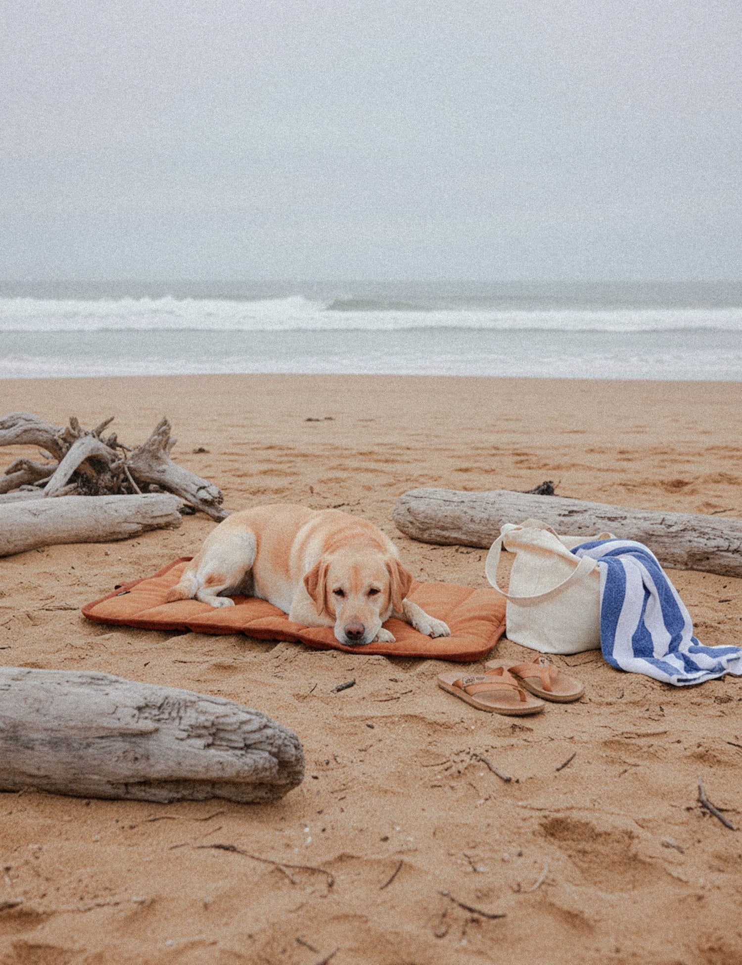 Water - Resistant Canvas Good Dog Mat – Bracken Orange - Barnaby Outdoor