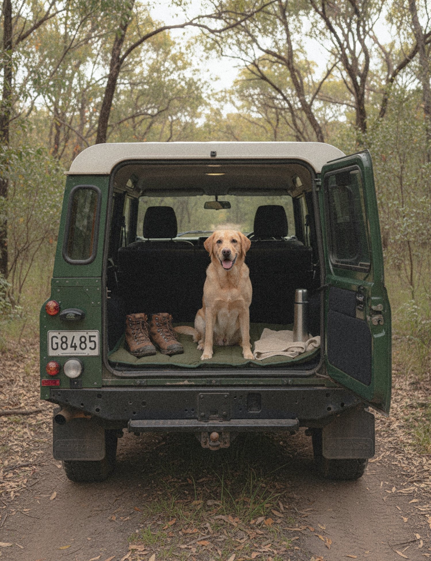 Water-Resistant Canvas Good Dog Mat – Kaitoke Green - Barnaby Outdoor -