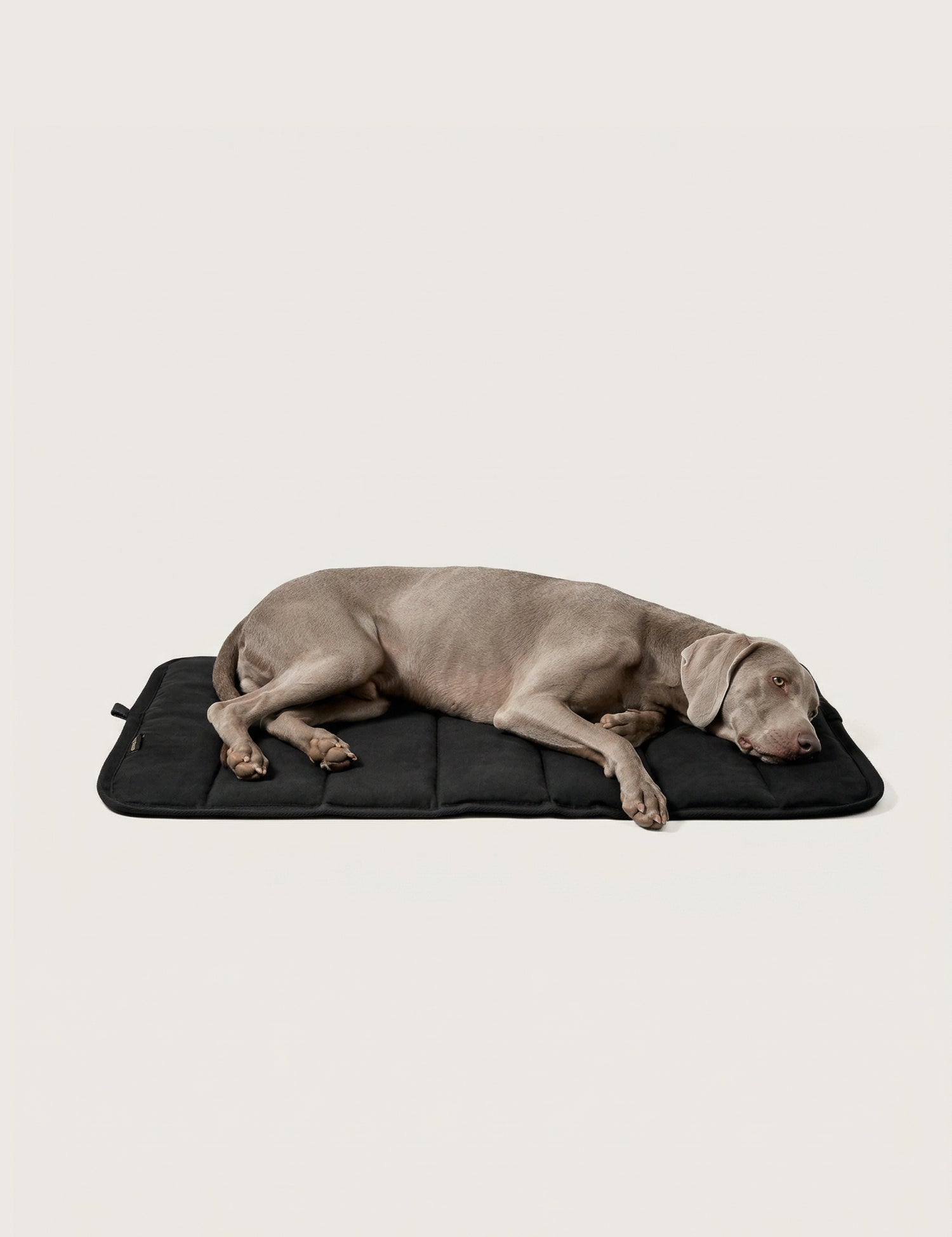 Water - Resistant Canvas Good Dog Mat – Muriwai Black - Barnaby Outdoor