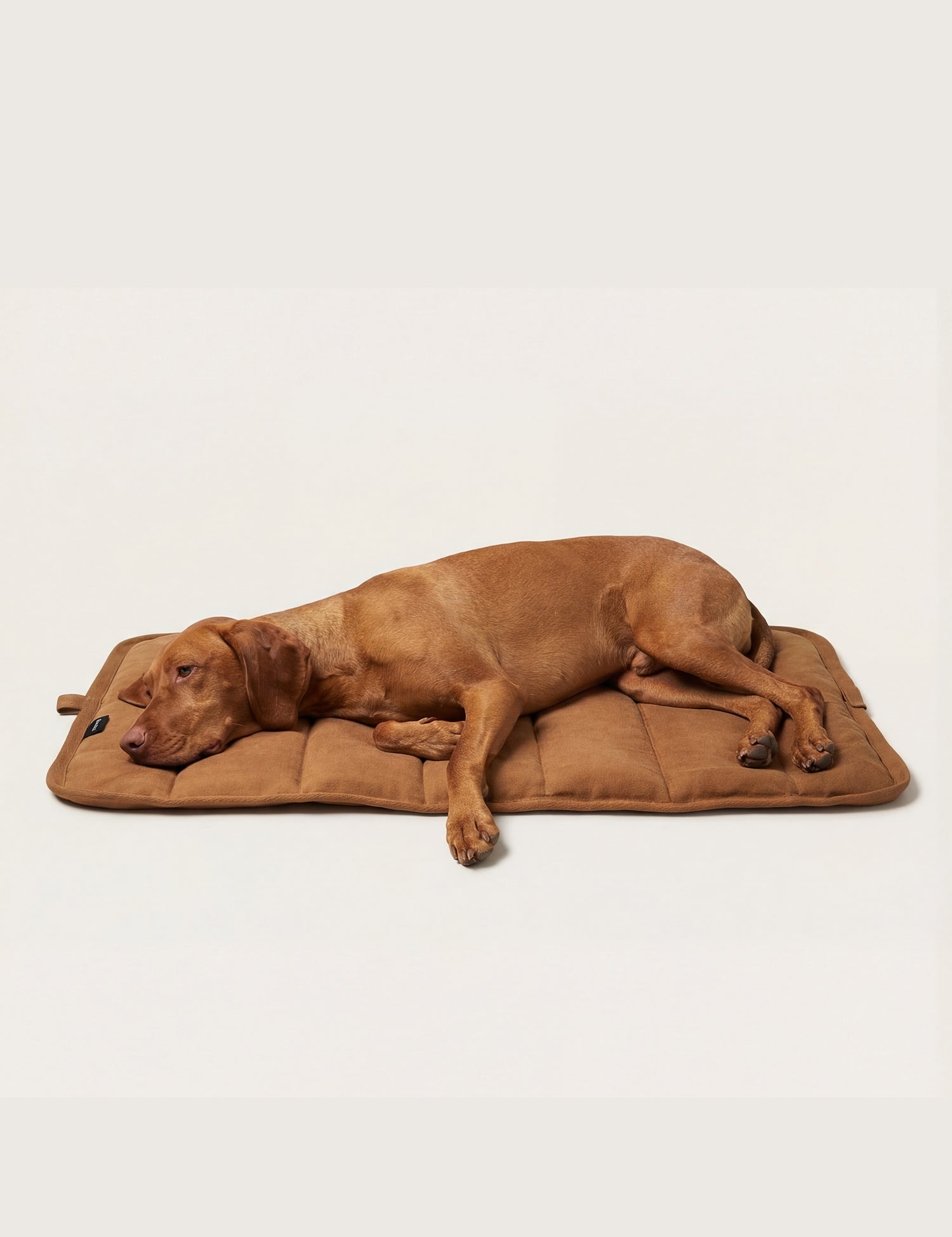 Water - Resistant Canvas Good Dog Mat – Tussock Brown - Barnaby Outdoor