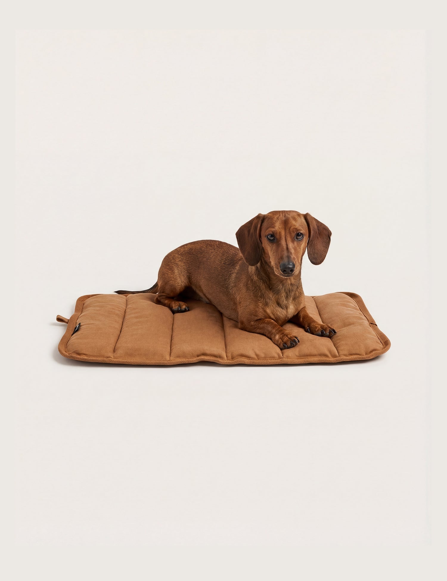 Water - Resistant Canvas Good Dog Mat – Tussock Brown - Barnaby Outdoor