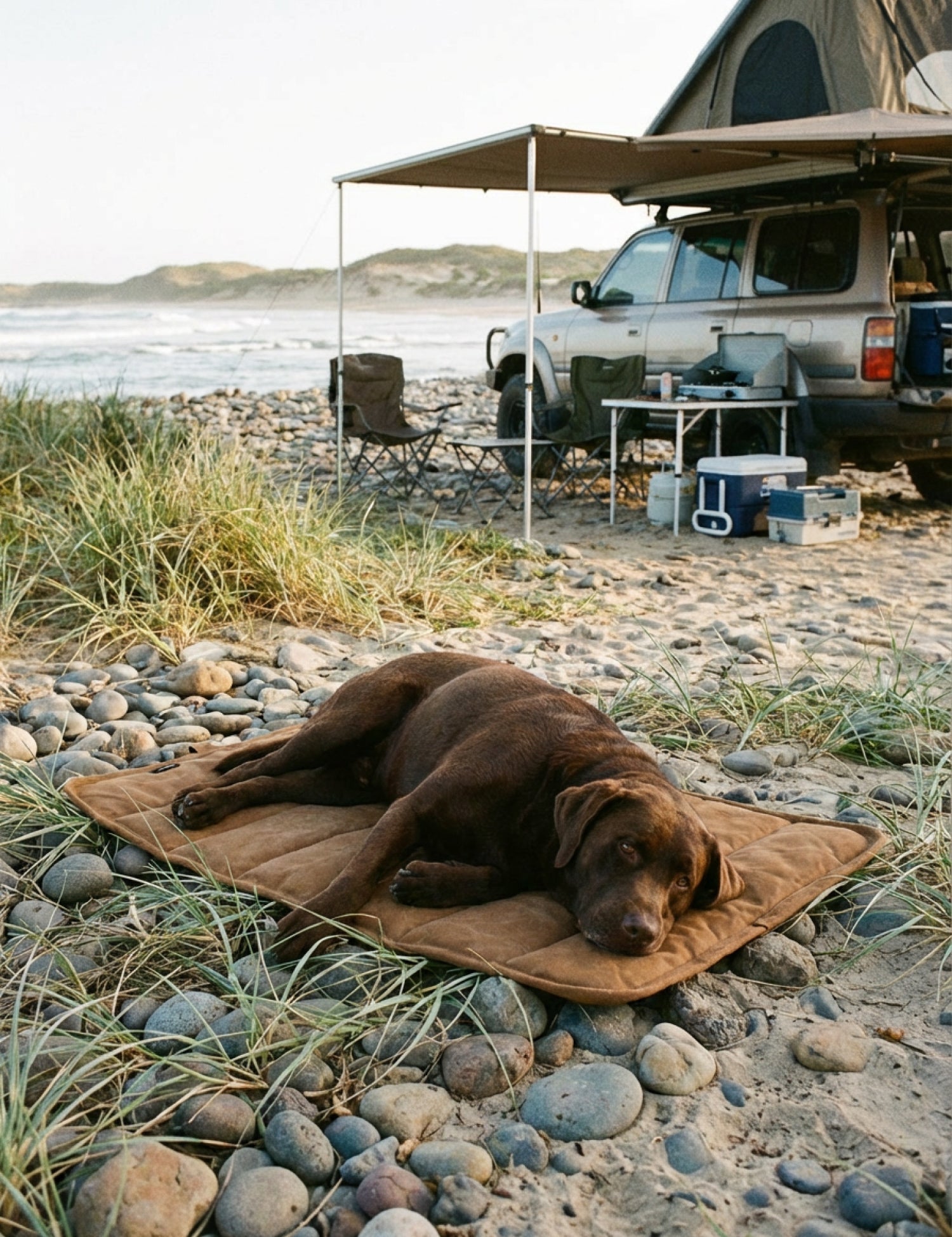 Water - Resistant Canvas Good Dog Mat – Tussock Brown - Barnaby Outdoor
